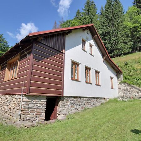 Chalupa Tomasek V Blizkosti Ski Arealu Dolni Dvur Bagian luar foto